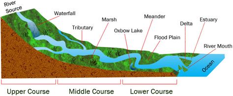 Learn about the courses of a river and there wildlife. Nile River Project, Landscape Diagram, Cousin Camp, Montessori Environment, River Mouth, English Stories For Kids, Geography Activities, Geography For Kids, Parts Of The Earth