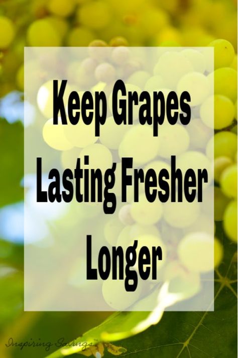 How To Wash Grapes, Clean Grapes, Wash Grapes, How To Store Grapes, Food Saver Hacks, Fruit Hacks, Fruit And Vegetable Wash, Frugal Cooking, Storing Vegetables