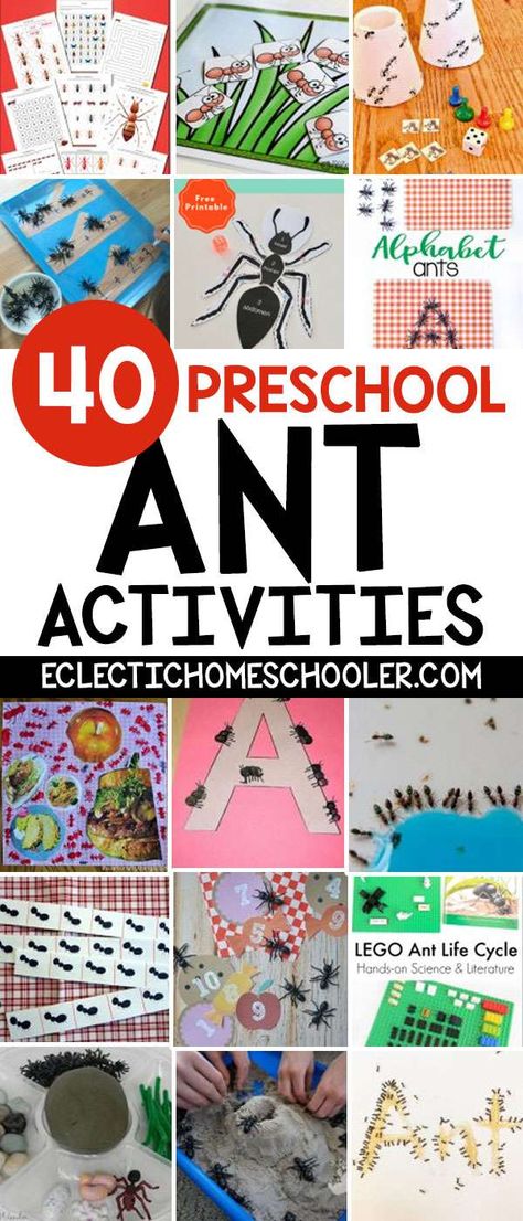 Toddler Bug Activities, Preschool Ant, Ant Activities, Ant Unit Study, Ants Printable, Ant Lesson, Ant Life Cycle, Ants Activities, Ant Crafts