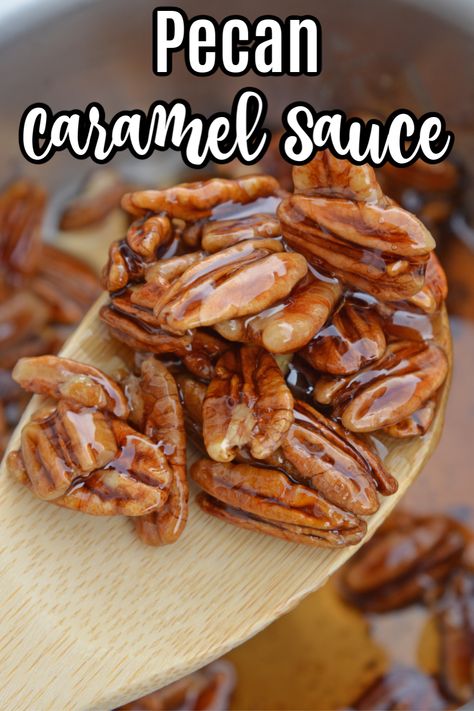 Caramel Pecan Sauce Recipe, Carmel Pecans Recipe, Caramel Recipe No Corn Syrup, Pecan Caramel Sauce, Caramel Pecan Sauce, Caramel Pecans, Fudge Candy, Caramel Pecan Cheesecake, Best Sauce Recipe