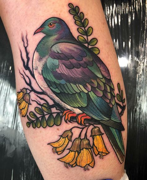 Kereru Tattoo, Nz Bird Tattoo, Tattoo Bird, Nz Art, Big Boi, R Tattoo, Bird Tattoo, Knee Tattoo, Birds Tattoo