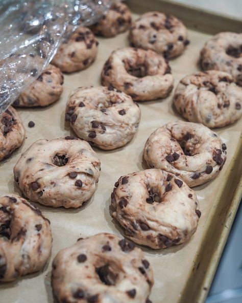 Chocolate Chip Sourdough Bagels, Chocolate Chip Bagels, Chocolate Chip Sourdough, Sourdough Bagels, Bagels, I Forgot, Chocolate Chips, How To Look Pretty, Chocolate Chip