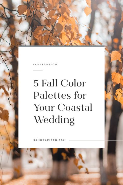 Fall Wedding At The Beach, Fall Wedding On The Beach, Beach Wedding In The Fall, Fall Beach Wedding Centerpieces, Fall Beach Wedding Colors November, Beach Wedding Fall Colors, Florida Fall Wedding Colors, Fall Beach Wedding Color Palette, Beachy Fall Wedding