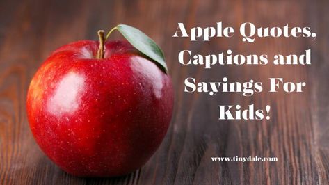 Tinydale Teacher Apple Quotes, Apple Cider Quotes, Apple Quotes Inspirational, Fruit Quotes Inspirational, Apple Picking Quotes, Apple Sayings, Apple Picking Caption, Apple Poem, Back To School Sayings