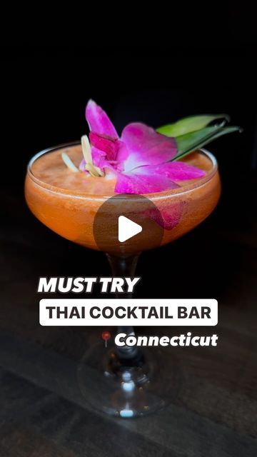 Kayla on Instagram: "📍visit thailand without leaving CT

this beautiful restaurant in #NewHaven serves up the best #thaifood and #cocktails you will ever have!

Here’s what I recommend:
🥭Mango ChaCha Cocktail
🍹Birds of Paradise Cocktail
🍖Pho Brisket
🍍Pineapple Pecking Duck
🌮Thai Tacos
🥟Spring Rolls
🍨Lychee Ice Cream

Do you like thai food? Share this with a friend! 

#ctfoodie #203local #connecticut #ctattractions" Lychee Ice Cream, Paradise Cocktail, Visit Thailand, Spring Rolls, Thai Recipes, Birds Of Paradise, Pineapple, Mango, Thailand