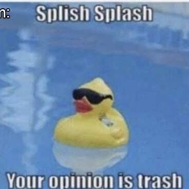 Your Opinion Is Trash, Your Opinion, Funny