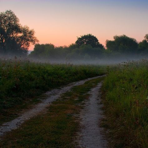 Green Orange Aesthetic, Aesthetic Forest, Forest Road, Orange Aesthetic, Landscape Trees, Nature Landscape, Living Life, Nature Aesthetic, Pretty Places