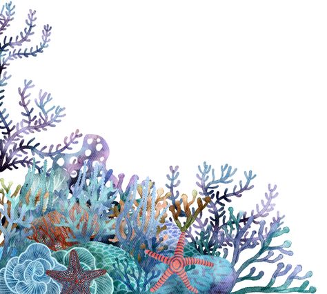 under ocean life element with watercolor painted , Coral reef Watercolor Coral Reef, Under The Sea Background, Coral Painting, Coral Reef Art, Under Ocean, Sea Drawing, Graphic Shapes Design, Sea Illustration, Ocean Backgrounds