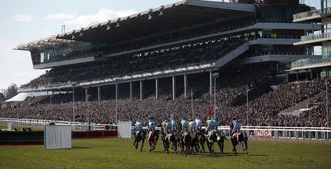 Runners racing down towards the grandstand at Cheltenham Broadway Cotswolds, Irish Horse, Race Night, Cheltenham Races, Cheltenham Festival, Race Course, Day Festival, Festival Camping, Bank Holiday Weekend