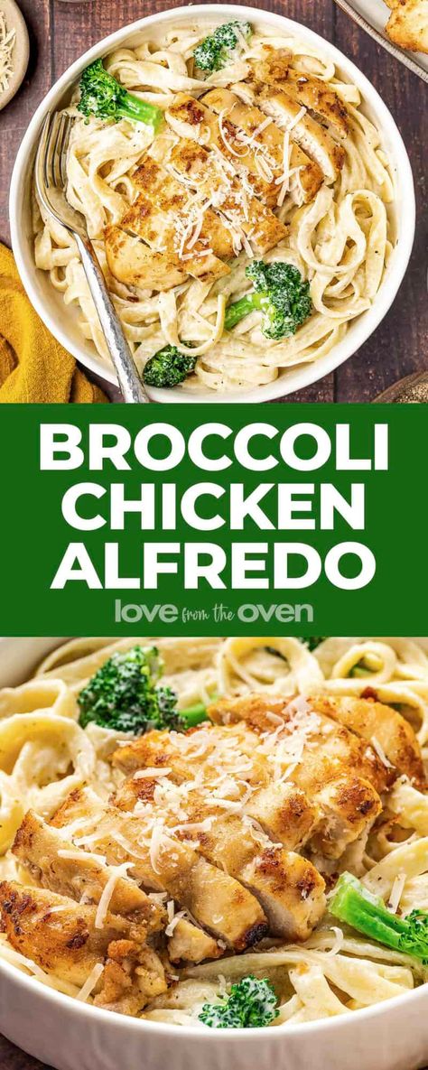 Best Chicken Broccoli Alfredo, Chicken Alfredo Recipe With Broccoli, Chicken Alfredo Pasta With Broccoli, Chicken Fettuccine Alfredo With Broccoli, Chicken Broccoli Fettuccine Alfredo, Broccoli Chicken Alfredo, Chicken Alfredo With Broccoli, Fettucini Alfredo Recipe, Broccoli Spaghetti