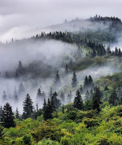 Mountain Landscape Photography, Mountain Aesthetic, Mountains Aesthetic, Nc Mountains, Hiking Aesthetic, Image Nature, Forest Mountain, Mountain Photography, Appalachian Mountains