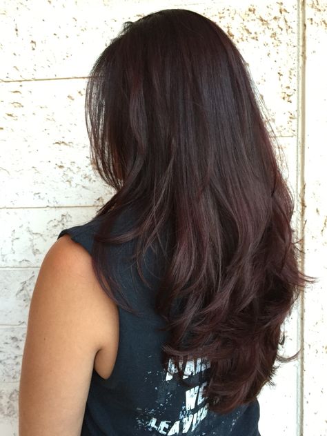 Dark Brown Hair With Maroon Tint, Black Red Undertone Hair, Long Dark Burgundy Hair, Long Burgundy Hair With Layers, Brown Burgandy Hair Color, Dark Brown With Red Tint Hair, Dark Brown Hair With Red Tones, Dark Chocolate Brown Hair Red Tint, Asian Red Balayage