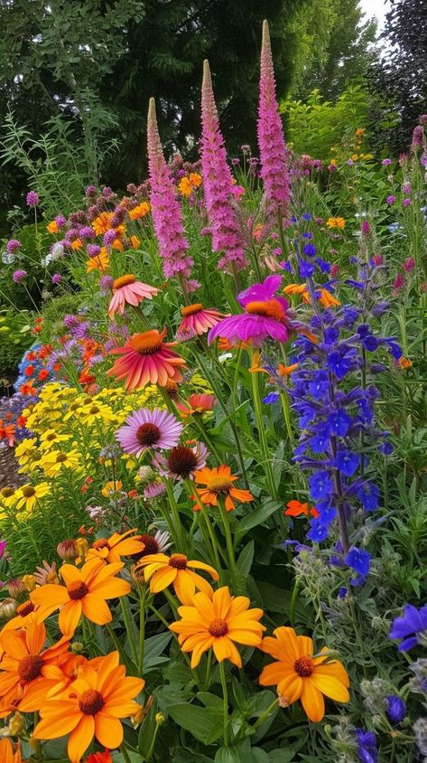 Spiky Flowers, Coneflower Garden, Colorful Perennials, Sedum Stonecrop, Hot Garden, Wildflower Gardens, Attracting Butterflies, Personal Garden, Coral Bells Heuchera