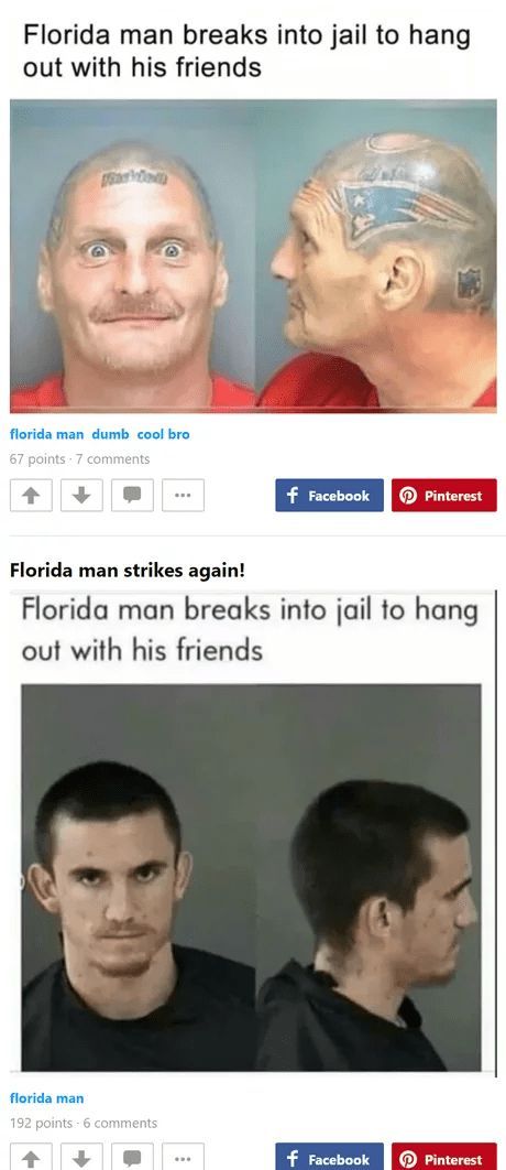 Florida Man Meme, Florida Funny, Funny Headlines, Funny Texts From Parents, Florida Man, Funny News, Daily Funny, Really Funny Pictures, Really Funny Memes