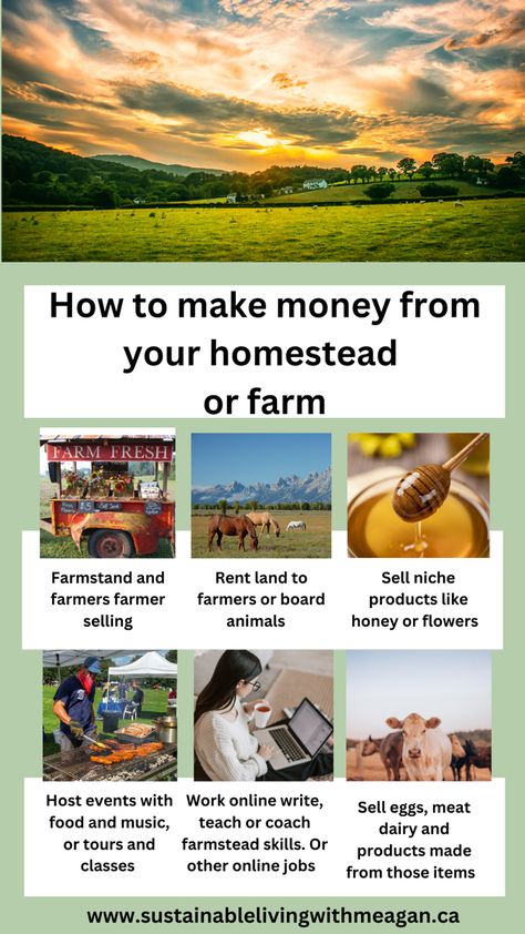 How To Start A Farm With No Money, Farm Products To Sell, Starting A Farm Business, How To Start A Farm, Farm Business Ideas, Agritourism Ideas Farms, Agriculture Tips, Homestead Land, Farm Experience