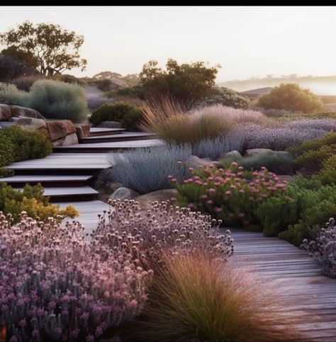 Coastal Home Landscaping, Coastal Garden Design, Midwest Garden Design, Australian Coastal Garden, Australian Backyard Ideas, Coastal Planting, Australian Backyard, Unique Landscaping, Steep Gardens