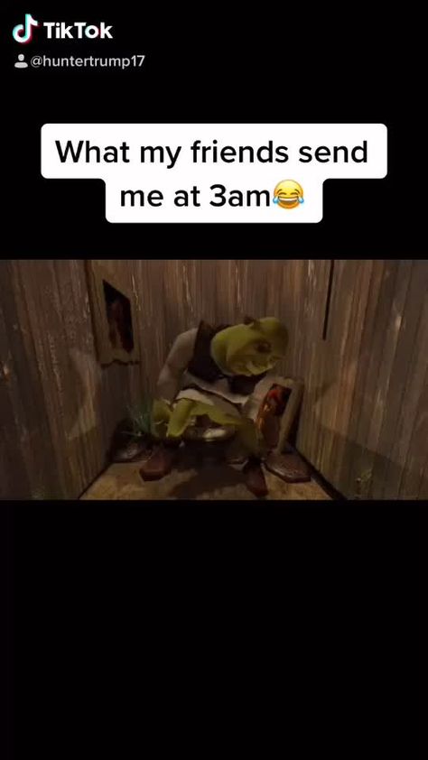 What My Friends Send Me At 3am Shrek, What My Friends Send Me At 3am Videos, What My Friends Send Me At 3am, Weird Things, Crazy Funny, Funny Short, Fun Quotes, Instagram Funny, Funny Videos Clean