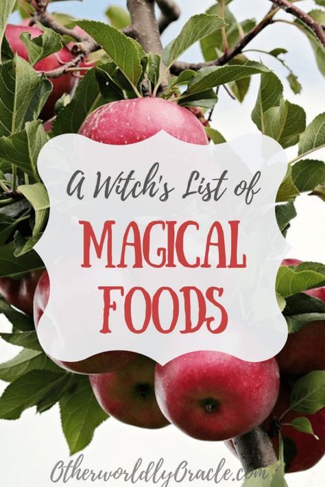 The Kitchen Witch's Food List: Magical Properties of Food Kitchen Witch Cheat Sheet, Kitchen Magick Recipes, Abundance Spells, Kitchen Magick, Witch Recipes, Witch Life, Wicca Recipes, Witchy Kitchen, Kitchen Witch Recipes