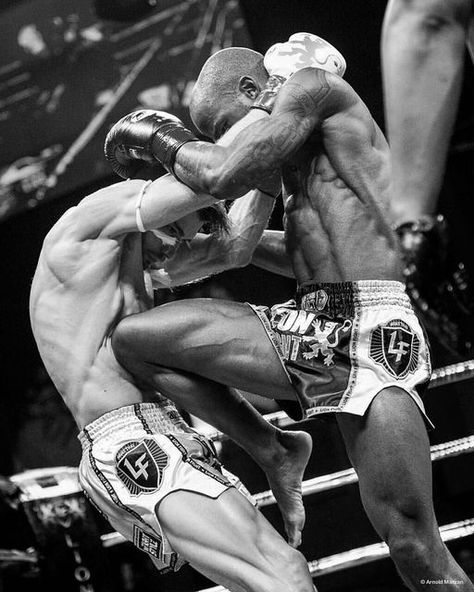 Black Pose Reference, Fighter Physique, Fighter Photography, Boxing Poses, Fighter Aesthetic, Boxing Photos, Martial Arts Photography, Look Up, Opm Manga