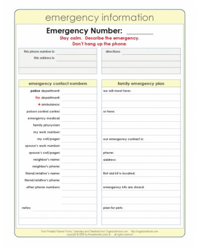 Emergency Information and Response Plan Emergency Printable, Emergency Checklist, Emergency Preparedness Plan, Family Emergency Plan, Household Notebook, Chore Checklist, Emergency Response Plan, Medical Binder, Emergency Binder