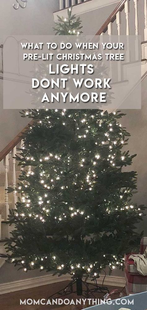 Christmas Tree Without Lights, Lit Christmas Tree, Xmas Tree Lights, Home Improvement Diy, Prelit Tree, Cluster Lights, Pre Lit Christmas Tree, Christmas Tree Lights, Two Trees