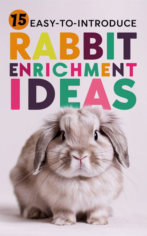 Keep your bunny happy and engaged with these 17 easy-to-introduce rabbit enrichment ideas 🐰🌿 #rabbitenrichment #bunnylove #petcare Rabbit Playpen Ideas, Bunny Hideout Diy, Bunny Must Haves, Rabbit Enrichment Ideas, Rabbit Diy Ideas, Rabbit Setup, Bunny Enrichment, Rocky Rabbit, Homemade Rabbit Toys