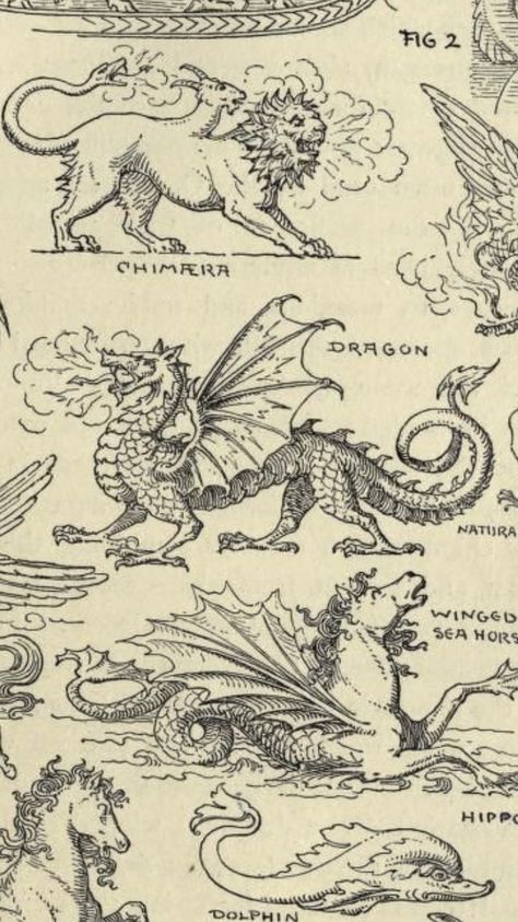 Medieval Fish Illustration, Medieval Art Dragon, Dragon Vintage Illustration, Dragonology Illustrations, Fairytale Dragon Tattoo, Medieval Manuscript Tattoo, Woodcut Dragon Tattoo, Old Dragon Art, Midevil Manuscript