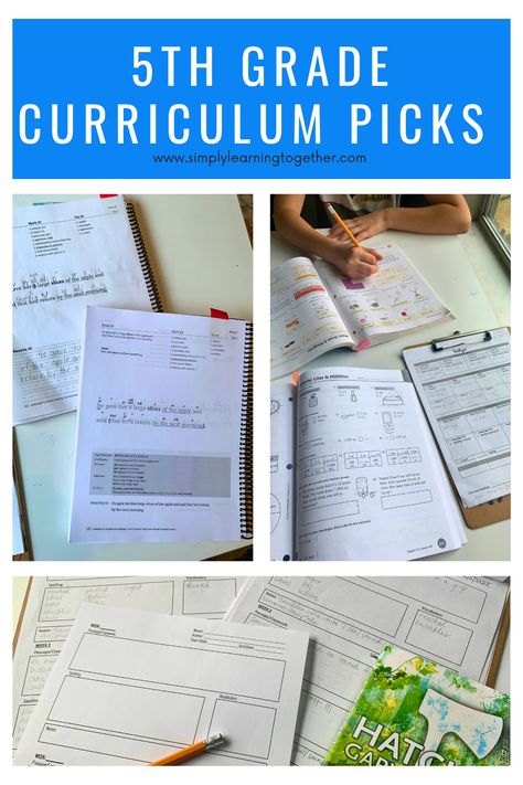 5th Grade Homeschool Curriculum Fifth Grade Homeschool Curriculum, 5th Grade Homeschool Curriculum, Homeschool Multiple Grades, 5th Grade Curriculum, First Grade Curriculum Map Full Year, 5th Grade Homeschool, Texas Homeschool Curriculum, Grade 5 Ontario Curriculum, Math 5