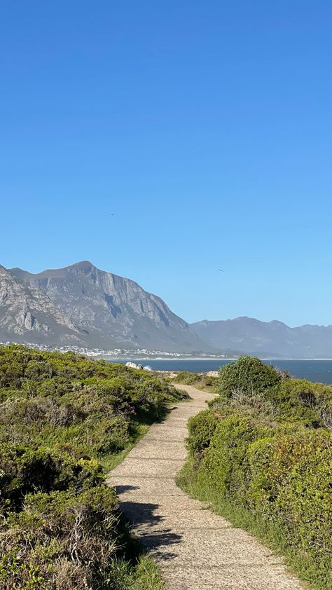 South Africa Nature, South Africa Beach, Hermanus South Africa, South Africa Vacation, Walk For Life, Africa Nature, Africa Vacation, Ocean Shore, Africa Photography