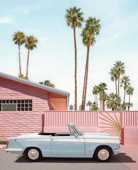 La Vibes Aesthetic, Palm Springs Motel, Trixie Motel, Pastel Danish, Wes Anderson Style, Go Dog Go, Paul Fuentes, Palm Springs Bachelorette, Bridal Bachelorette Party