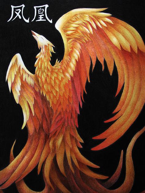 °Zhu Que by Lauren Cawthron Xiran Jay Zhao, Vermillion Bird, Phoenix Party, Iron Widow, Phoenix Tattoo Ideas, Vermilion Bird, Phoenix Birds, Rising From The Ashes, I Am Fine