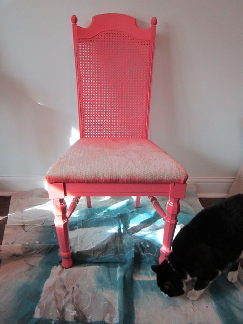 curbside chair rescued and redone - The Honeycomb Home on @Remodelaholic Cane Wingback Chair Makeover, Painted Cane Back Dining Chairs, Replace Cane Back Chair With Fabric, Painted Cane Back Chairs, Came Back Chair Makeover, Dining Chair Makeover, Wingback Dining Chair, Cane Back Chairs, Chair Pictures