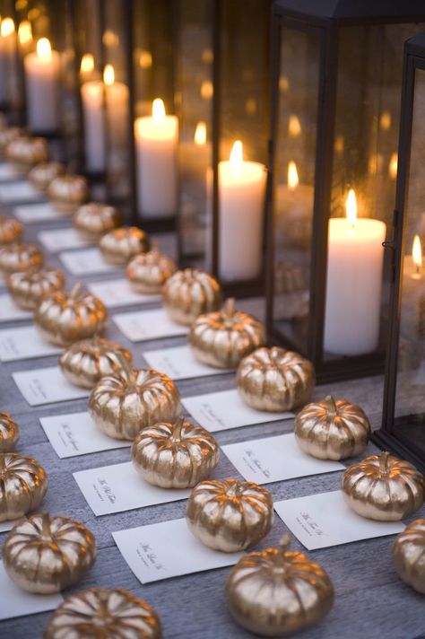 Elegant Pumpkins, Pumpkin Wedding, Gold Pumpkins, Adult Halloween Party, Fall Wedding Decorations, Wedding Inspiration Fall, October Wedding, Halloween Wedding, Halloween Party Decor