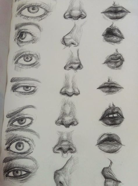 Human Face Sketch Tutorial, Eye Drawing Different Angles, Human Features Drawing, Face Features Sketches, Face Parts Drawing, Mouth Sketch Tutorial, Different Noses Drawing, Nose Anatomy Drawing, Autonomy Drawing