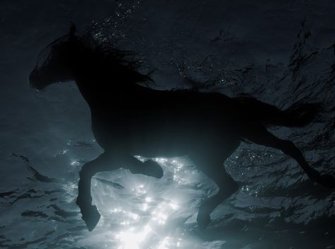 Water Horse Mythical, Hippocampus Aesthetic, Pegasus Aesthetic, The Scorpio Races, English Creative Writing, Angelic Aesthetic, Daughter Of Poseidon, Greek Pantheon, Sea Horses