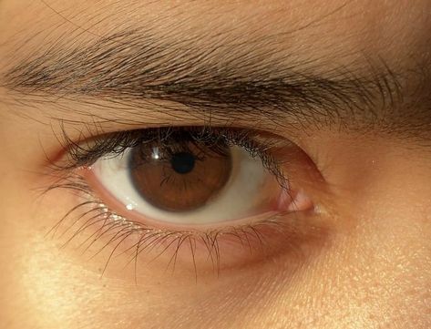 Eyes Reference, Eye Reference, Brown Eyes Aesthetic, Eyes Aesthetic, Eyes Photography, Eyes Drawing, Shadow Photography, Brown Eye, Male Eyes