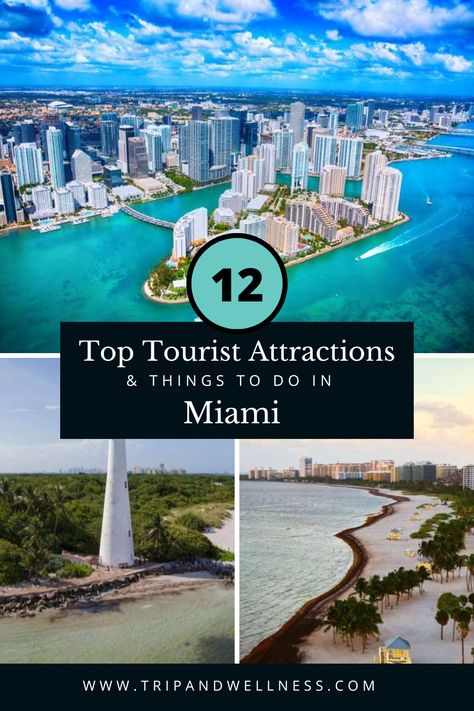 Dive into the heart of Miami with our guide to its top attractions. Your unforgettable journey starts here! Things To Do In Miami, Iconic Landmarks, Usa Travel, Historical Sites, Tourist Attraction, Natural Wonders, Travel Usa, Miami, Things To Do