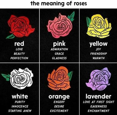 Rose Meaning, Flower Meanings, Nothing But Flowers, Color Meanings, Language Of Flowers, Pretty Plants, Useful Life Hacks, Rose Color, Flower Pictures