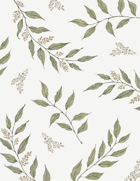 Eucalyptus Illustration Botanical, Botanical Pattern Design, Botanical Aesthetic Wallpaper, Botanical Pattern Illustration, Pattern Paper Design, Greenery Drawing, Botanic Wallpaper, Eucalyptus Illustration, Floral Pattern Illustration