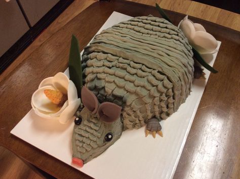 Bleeding armadillo cake, with Magnolias (red velvet center) Armadillo Cake Tutorial, Armadillo Cake Steel Magnolias, Armadillo Cake, Cursed Cakes, Record Cake, Cake Recipes At Home, Best Cake Ever, Steel Magnolias, Red Cake