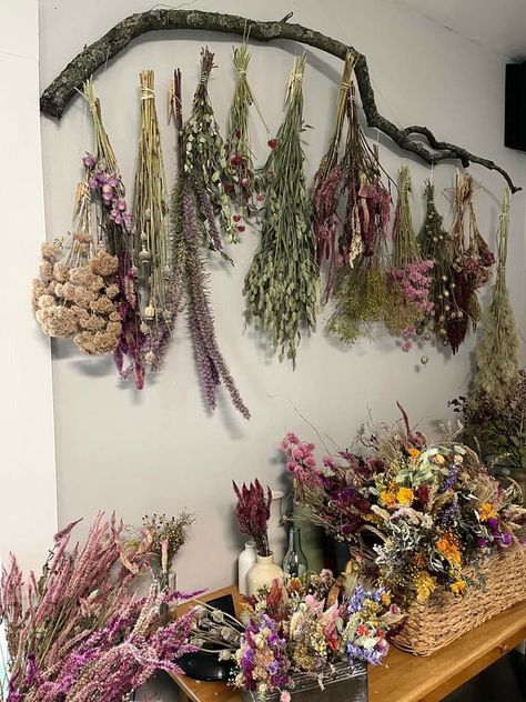 Dried Herbs Decor, Dried Flowers Interior, Herb Room Aesthetic, Witchy Dried Flowers, She Shed Witchy, Witchy Cottagecore Decor, Witchy Shed Ideas, Dried Flower Display Wall, Woodland Witch Decor