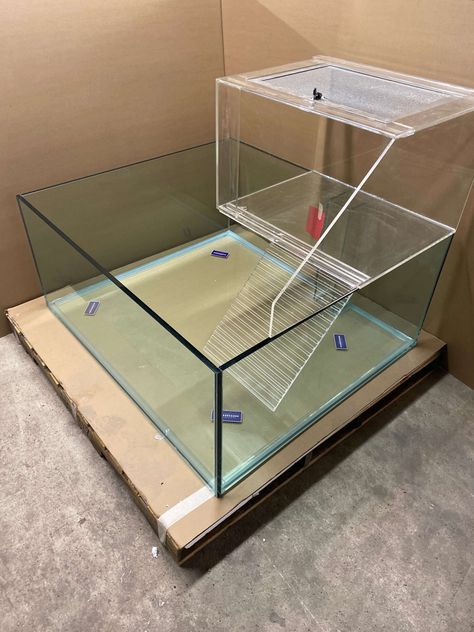 Terrapin Tank Ideas, Turtle Tanks, Turtle Tank Ideas, Turtle Cage, Turtle Dock, Musk Turtle, Leopard Gecko Care, Turtle Terrarium, Turtle Aquarium