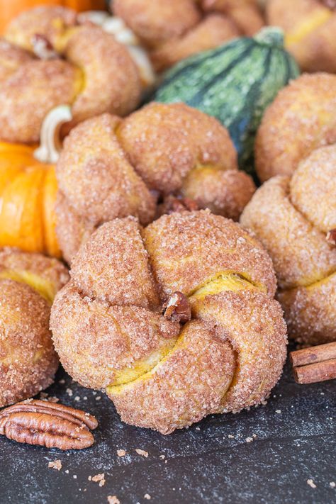 Pumpkin Cinnamon Buns Giant Pumpkin Cinnamon Rolls, Bread Shaped Like Pumpkins, Pumpkin Shaped Bread Rolls, Pumpkin Shaped Buns, Pumpkin Shaped Bagels, Pumpkin Shaped Cinnamon Rolls, Halloween Buns, Pumpkin Shaped Rolls, Pumpkin Dough