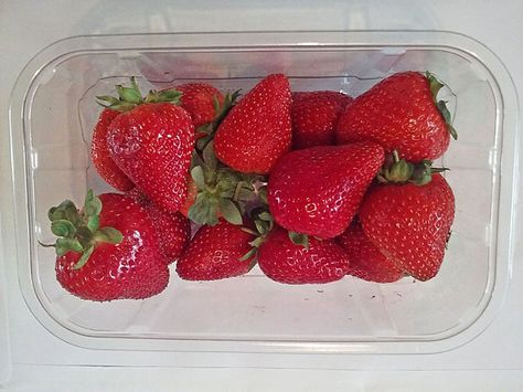 Strawberry Seeds Grow, Strawberries In Containers, One Strawberry, Strawberry Seeds, Grow Strawberries, Small Plastic Containers, Seedling Pots, Strawberry Seed, Growing Strawberries