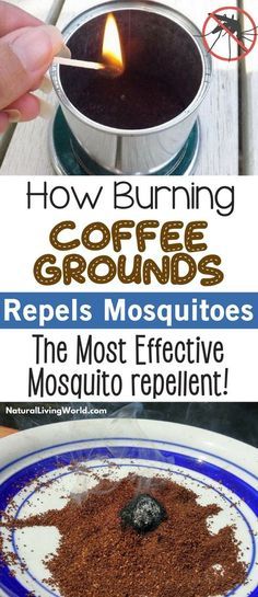 Repel Mosquitoes Naturally By Burning Coffee… Diy Natural Mosquito Repellent, Pantry Larder, Repel Mosquitos, Natural Mosquito Repellent, Natural Mosquito Repellant, Burnt Coffee, Bug Killer, Uses For Coffee Grounds, Bug Spray