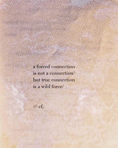 Chris Ferreiras on Instagram: “a forced connection/ by @itscarus is not a connection. but true connection is a wild force. there is no need to steer, or push the waves.…” True Connection, Connection Quotes, Soul Connection, Aesthetic Words, Meaning Of Life, Some Words, Poetry Quotes, True Words, Beautiful Words