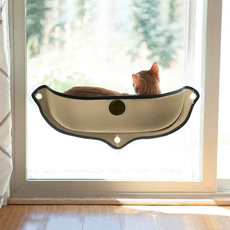 These two new cat beds from K&H Manufacturing are blowing my mind! I saw… Cat Window Bed, Cat Window Hammock, Cat Window Perch, Window Perch, Cat Perch, Cat Window, Cat Hammock, Cat Travel, Window Bed