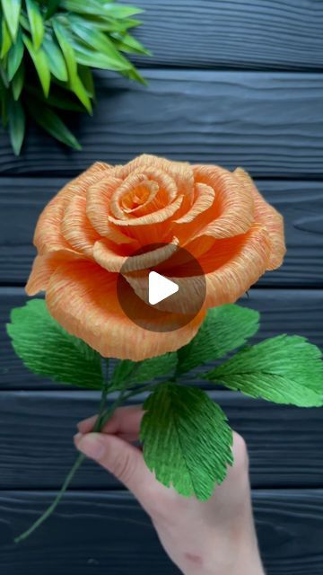 Crape Paper Flowers Diy Rose Tutorial, Crepe Paper Roses Tutorial, Paper Flower Diy, Crepe Paper Flower, Ace Of Base, Handmade Paper Crafts, Paper Craft Tutorials, Flower Diy, Quantum Physics