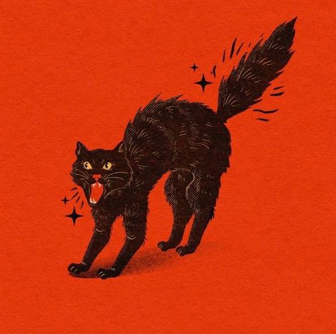 Black Cat Fireworks, Black Cat Illustration, Care Bears Vintage, Vintage Halloween Art, Vintage Black Cat, Halloween Artwork, Cat Stories, Black Cat Art, Retro Cats