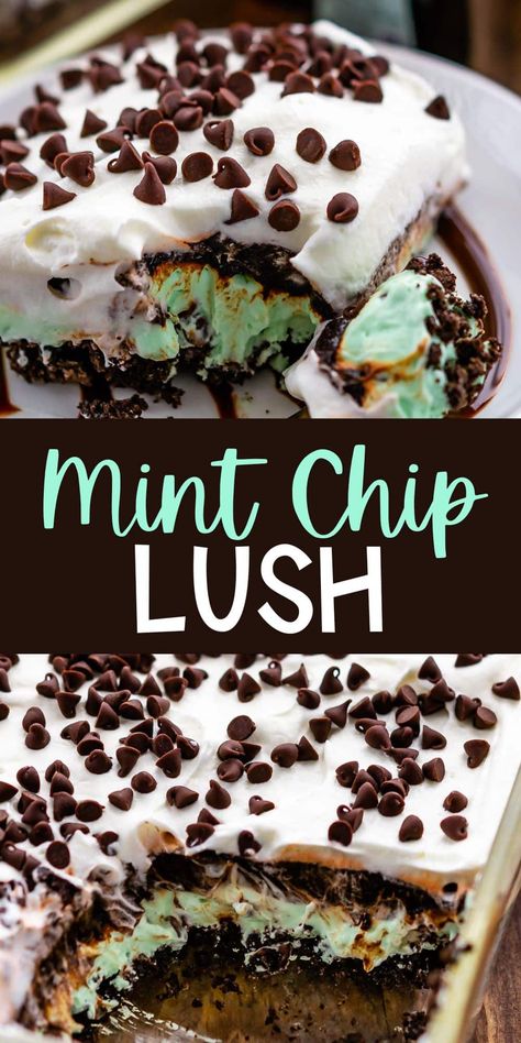 Easy Mint Chip Lush is a layered no bake dessert with Oreo crust, no bake mint cheesecake and pudding - this dream dessert is SO GOOD. Turtle Lush Dessert, Mint Oreo Dessert, Mint Dessert Recipes, Lasagna Desserts, Mint Dessert, Irish Dessert Recipes, Dessert Lasagna, Summer Desert, Mint Desserts